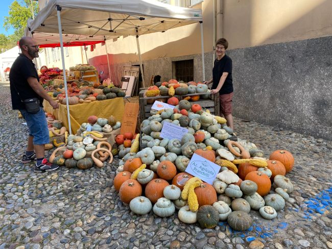 Stand con differenti varietà di zucche presente all'Agrifood Day 2023