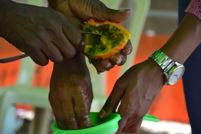 Mani di due uomini che estraggono semi da un frutto, progetto COOPEN - Seed Conservation