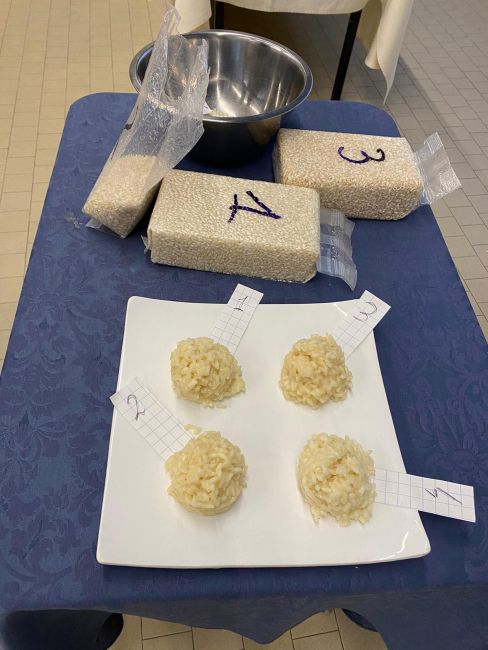 Le tipologie di riso Carnaroli cucinate