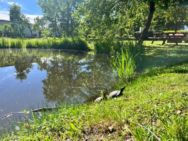 Uno degli spazi verdi nei pressi del Polo didattico di Ingegneria