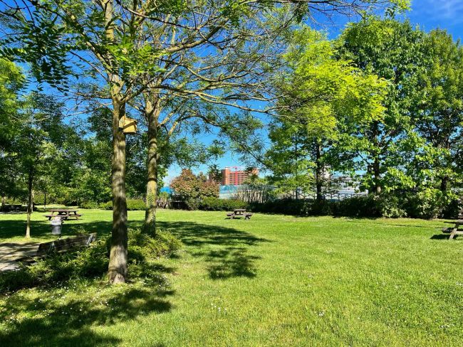 Spazi verdi nei pressi del Polo didattico di Ingegneria