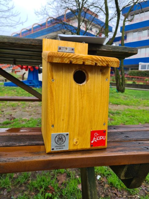 Cassetta nido per uccelli selvatici 