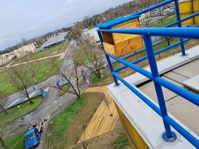 Cassette nido per uccelli selvatici 