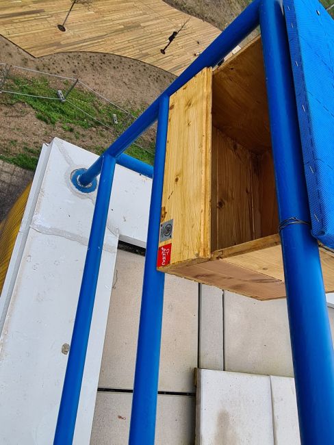 Cassetta nido per uccelli selvatici 