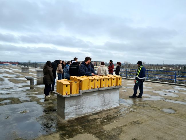 Visita alle cassette nido per uccelli selvatici 