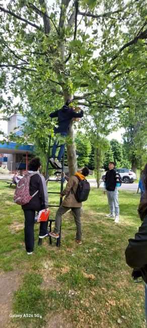 Installazione di una cassetta nido per uccelli selvatici su un albero nei pressi del Polo didattico di Ingegneria UniPv