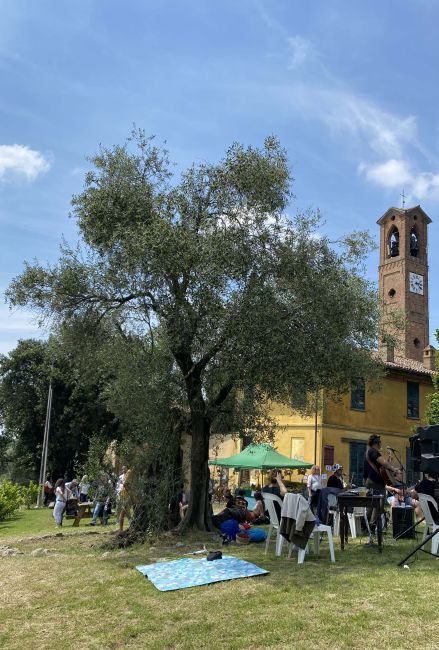 Evento sotto gli ulivi in Oltrepò Pavese