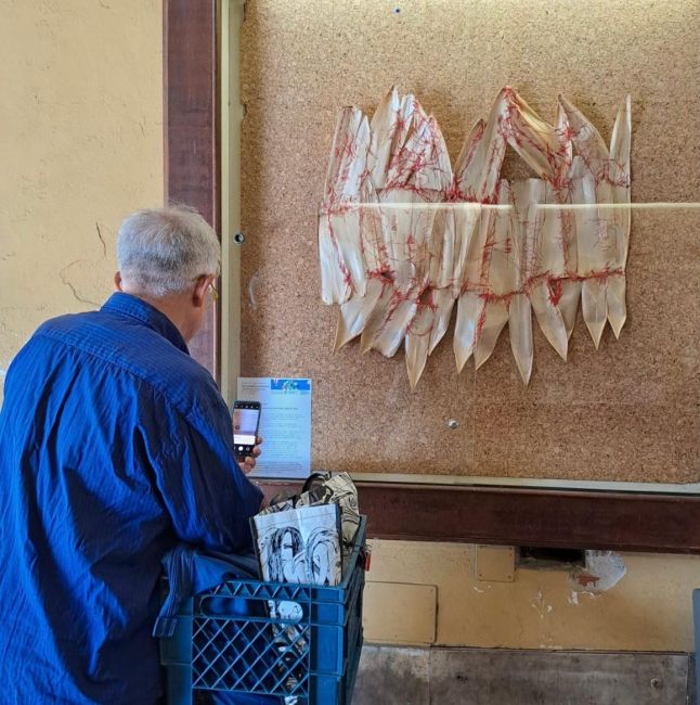 Esposizione "Rea (anti)monumentale: Azioni tra città e Oltrepò rurale" presso i cortili UniPv