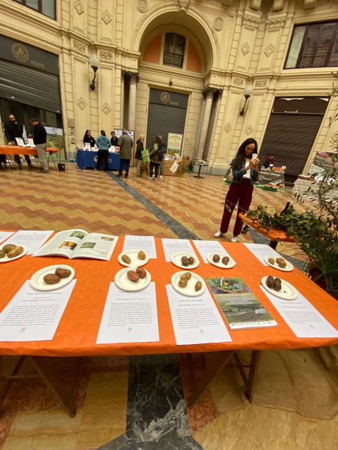 Stand alla mostra mercato "Se mi mangi mi conservi"