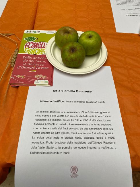 Stand alla mostra mercato "Se mi mangi mi conservi"