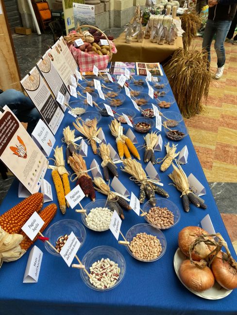 Stand alla mostra mercato "Se mi mangi mi conservi"