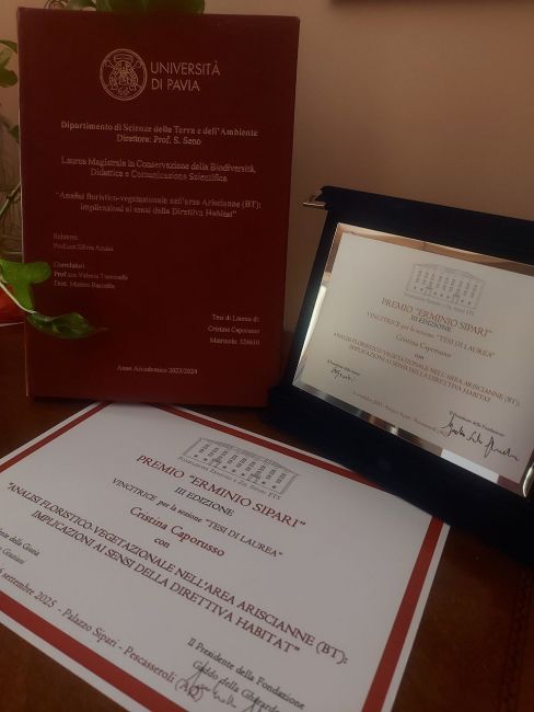 L'attestato e il Premio Erminio Sipari.