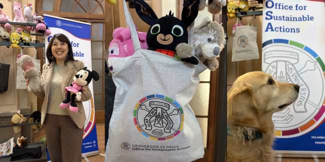 Michela Sitzia del CUG UniPv e giochi allo stand di "Giocattoli in circolo"