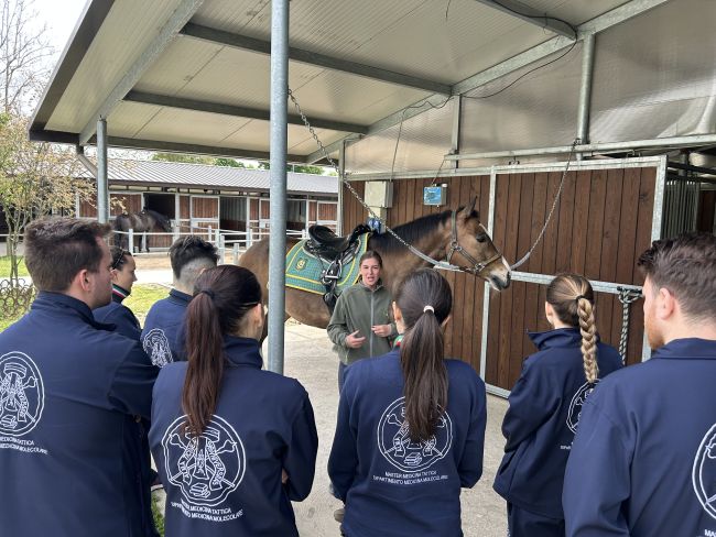 Attività presso il centro di addestramento equestre durante le esercitazioni del Master in Medicina Tattica