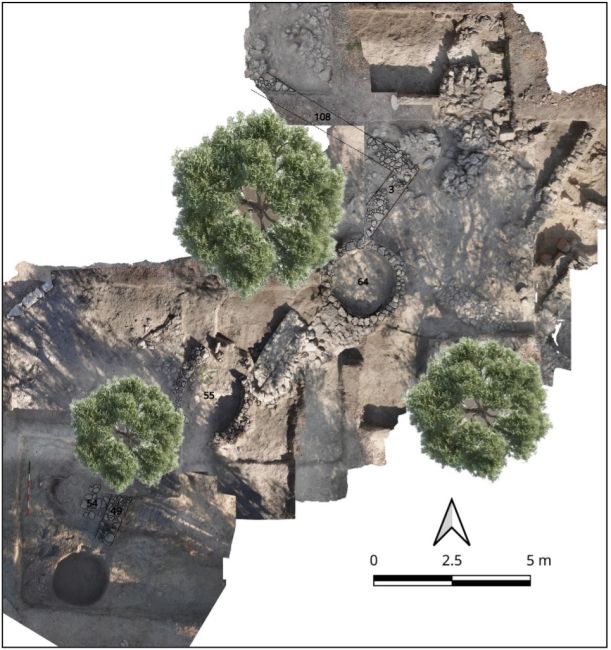 Immagine dagli scavi: sopra il livello di bruciato sulla sommità del sito sono stati rinvenuti i resti di un’occupazione successiva all’incendio, databile all’inizio dell’età del Ferro (C14: 1125±70 a.C.)