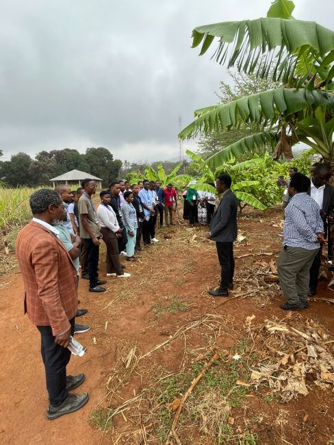 AEYA New Leaders Lab kicks off in Tanzania and Kenya